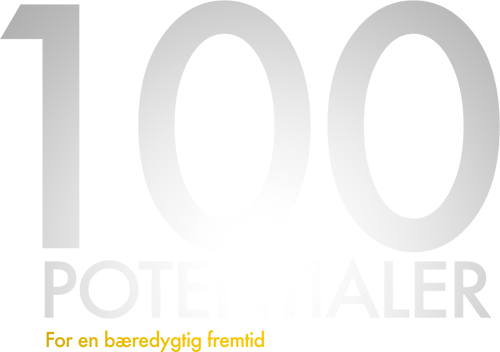 100Potentialer Logo